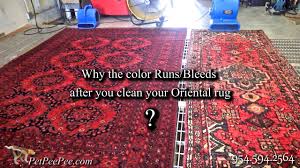 oriental rug stains