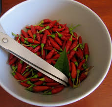 to freeze hot maeta chili peppers