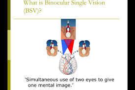 binocular vision flashcards