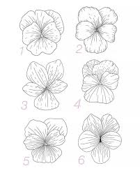 to draw flowers step by step tutorials