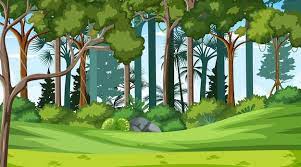 forest drawing images free