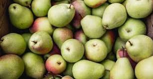 Are D Anjou pears healthy?
