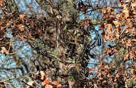 7 tips for bow hunting deer mossy oak