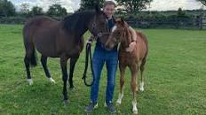 Image result for Kevin Blake is he bloodhorse literate?
