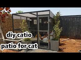 Outdoor House Catio Patio For Cat