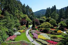 Butchart Gardens Tour From Vancouver