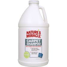 deep cleaning carpet shoo