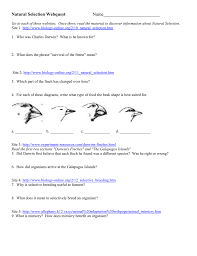 5.1 evolution and natural selection answer key pdf. Natural Selection Webquest 2