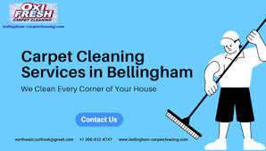 professional carpet cleaning services