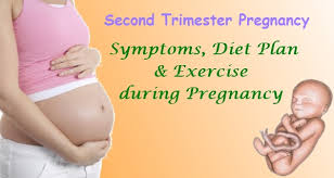 Second Trimester Pregnancy Symptom Diet Plan And Exercise