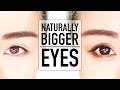 bigger eyes makeup tutorial