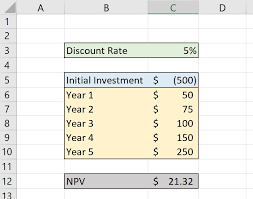 Net Present Value Npv What It Means