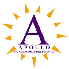 Apollo Professional Cleaning Reviews