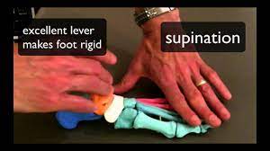 ation and supination
