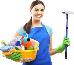 1 home cleaning services in goleta
