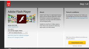 With the computer details windows open, click the application option in the left panel. 16 04 Problems With Flash Player After Update It Does Not Work Jump Of Flash Player From 11 To 24 Ask Ubuntu