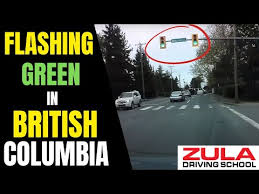 what the blinking green lights mean in