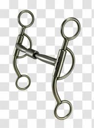 Harry's horse is a supplier of products for horse and rider. Tom Balding Bits Spurs Horse Tack Shop Art Transparent Png