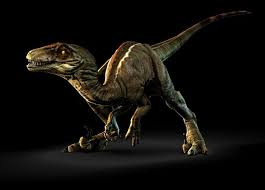 We would like to show you a description here but the site won't allow us. Velociraptor P V O A L I C E T R Hd Wallpaper Peakpx