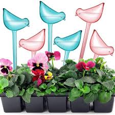 Plant Watering Balls Automatic Waterer