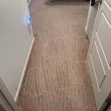 pro steam carpet cleaning 3324f morse