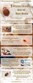 5 steps to get rid of bed bugs bed