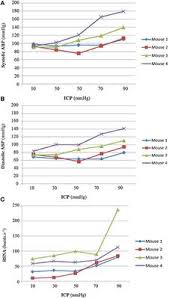 Frontiers Intracranial Pressure Is A Determinant Of