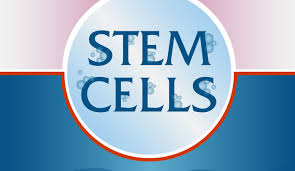 Embryonic Stem Cell Research Pros And Cons Hrf