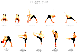 diffe postures of yoga