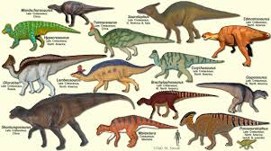 Cogent Dinosaur Chart Species Dinosaur Jurassic Triassic