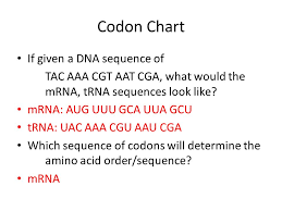 Gene To Protein Unit Test Review Ppt Video Online Download