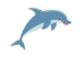 free dolphin vector art