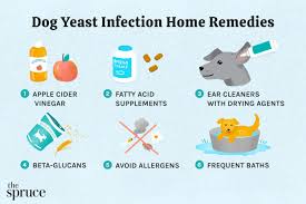 dog yeast infection home remedy