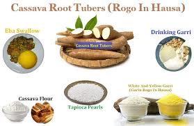 Danyen rogo attaruhu albasa gishiri spices seasoning steps. The Nigeria Go Get Garri Grits Life Saver Cassava Simply Jd
