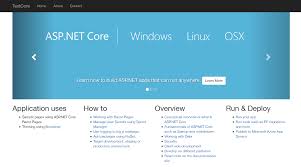 how to setup asp net core 2 1 on linux