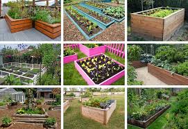 Fun, easy and inexpensive project. 32 Raised Wooden Garden Bed Designs Examples Home Stratosphere