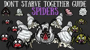 don t starve together guide spiders