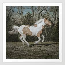 Paint Horse Print Buckskin Moody Art