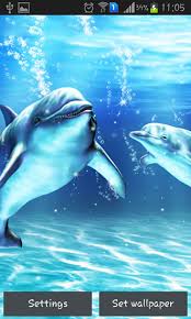 sea dolphin live wallpaper for android