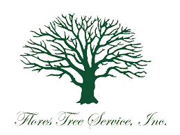 Choosing a tree service in lawrenceville is very important for the health of your trees and safety of your family or property regarding overgrown or dying trees. Lawrenceville Ga Tree Removal And Services Atlantas Trusted Tree Trimming And Removal Experts Flores Tree Service