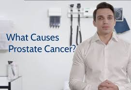 prostate cancer, disease characterized by uncontrolled growth of cells within the prostate gland. What Causes Prostate Cancer Prostate Cancer Foundation