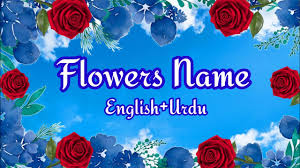 flowers name flowers name in english
