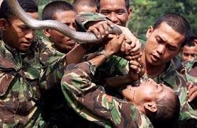 hardest special forces training