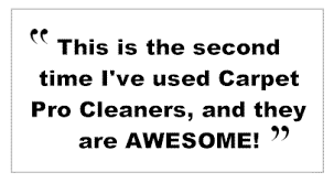 carpet cleaning raleigh nc from the