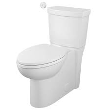 2989709 020 White Cadet Touchless Flush