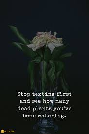The country is occupied by the japanese imperialists. Stop Texting First And See How Many Dead Plants You Ve Been Watering Vace Flower Text Words Quotes Flower Quotes Me Quotes