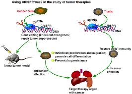 application of crispr cas9 gene editing