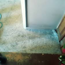 carpet cleaning in cartersville ga