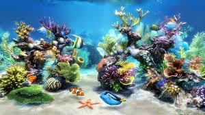 live aquarium wallpapers top free