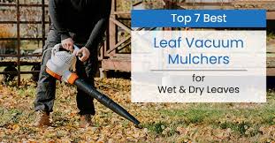 Just recently invested in the skin for lawn mower too. The 7 Best Leaf Vacuum Mulchers Blowers 2021 Reviews
